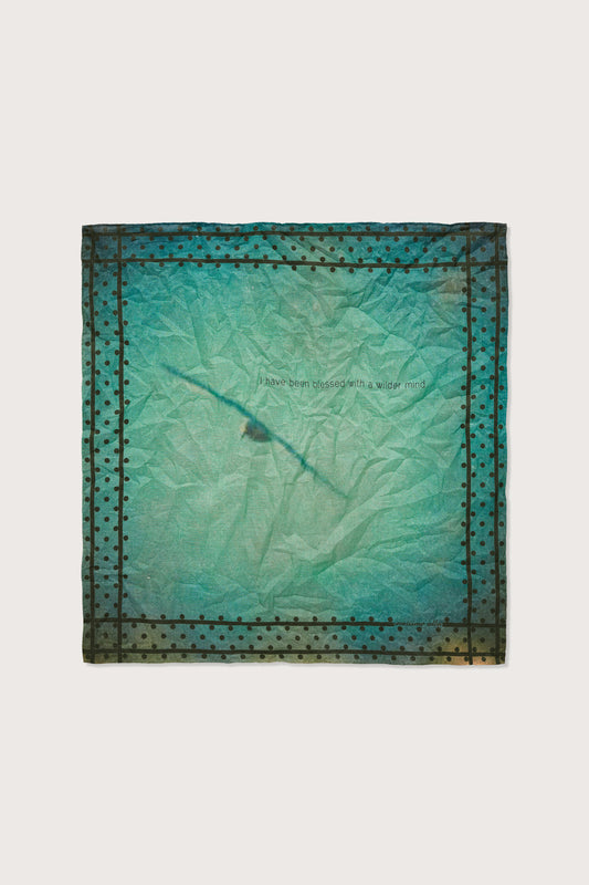 HANKY1
